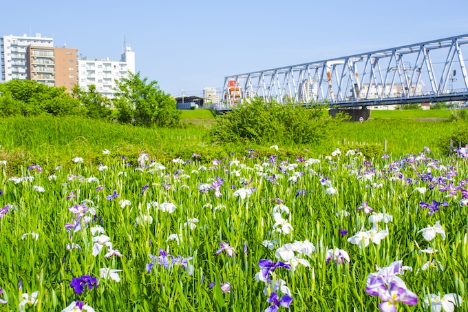 京成小岩駅のシェアハウスを探す