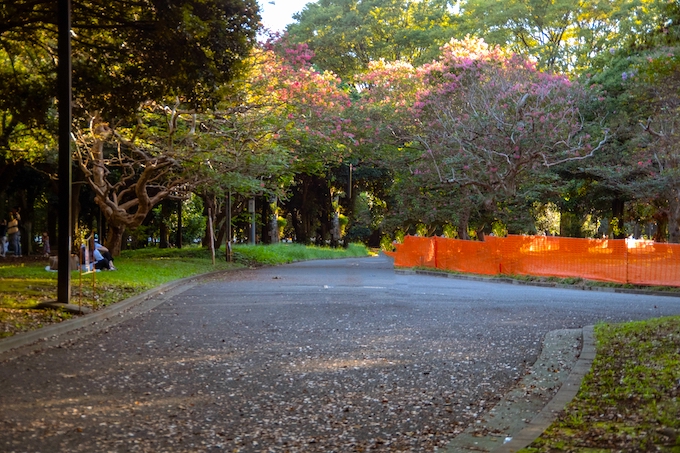 代々木公園駅のシェアハウスを探す