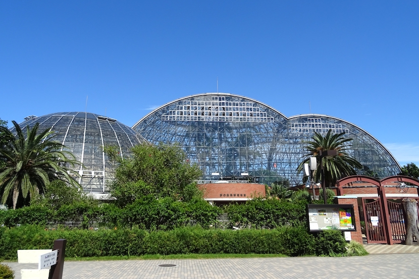 夢の島熱帯植物館