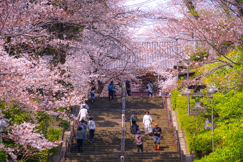 池上本門寺まとめ<