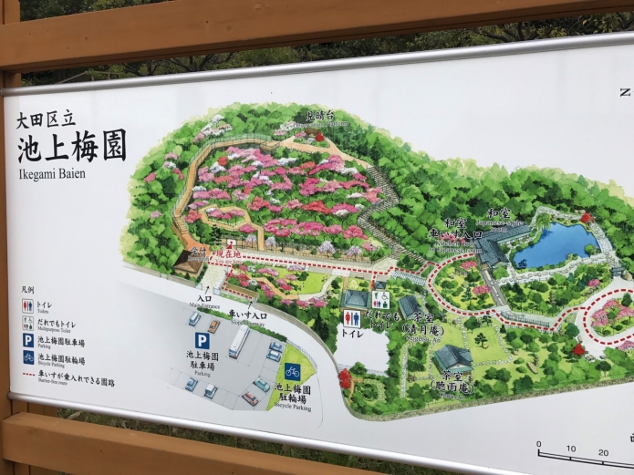 梅園 見頃 池上 大田区ホームページ：池上梅園