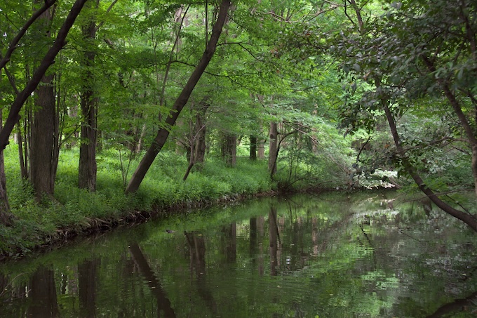 神代植物公園