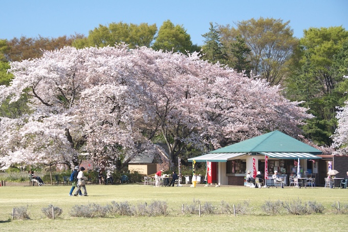 神代植物公園