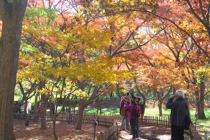 神代植物公園