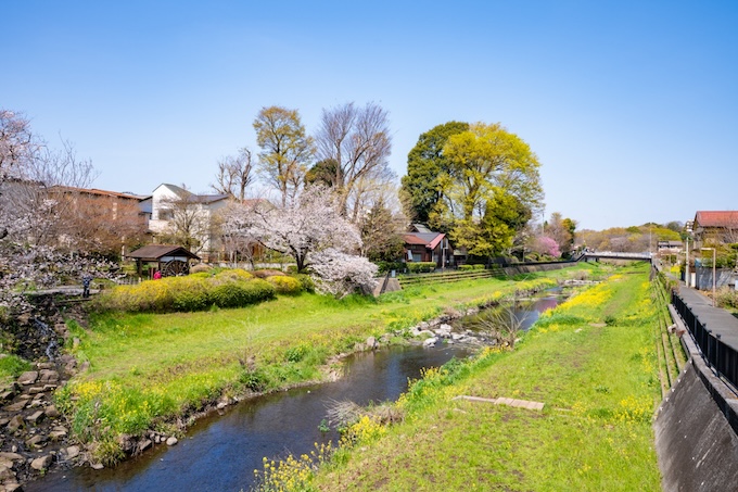 野川